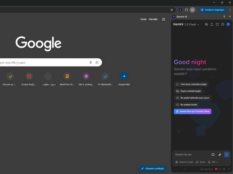gemini ile google docs eşleştirmesi