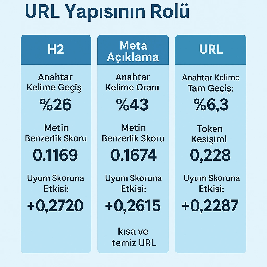 h2 etiketeri ve meta açıkamae
