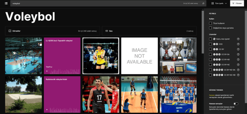 openverse arama motoru