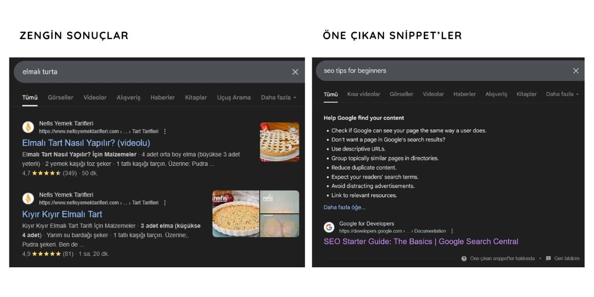 zengin sonuçlar ve şema